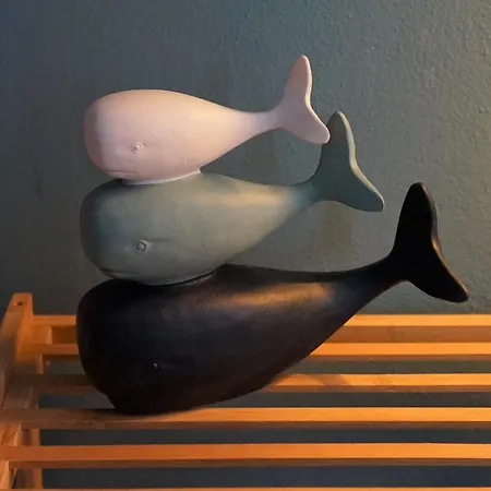 Venus And The Sea *